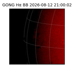 gong - 2026-08-12T21:00:02