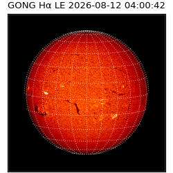gong - 2026-08-12T04:00:42