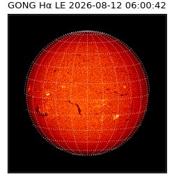 gong - 2026-08-12T06:00:42