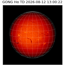 gong - 2026-08-12T13:00:22