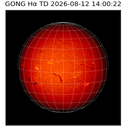 gong - 2026-08-12T14:00:22