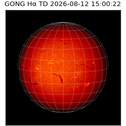 gong - 2026-08-12T15:00:22