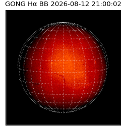 gong - 2026-08-12T21:00:02