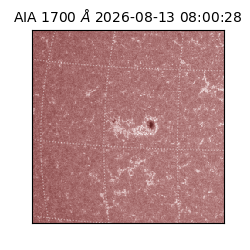 saia - 2026-08-13T08:00:28.735000
