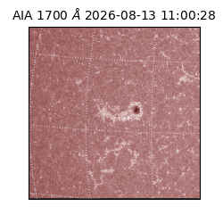 saia - 2026-08-13T11:00:28.719000