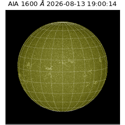 saia - 2026-08-13T19:00:14.123000