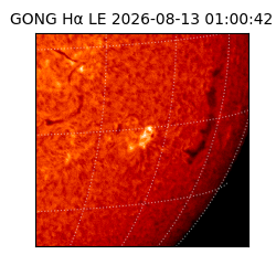 gong - 2026-08-13T01:00:42