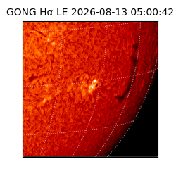 gong - 2026-08-13T05:00:42