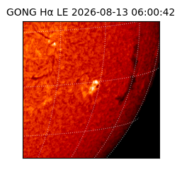 gong - 2026-08-13T06:00:42