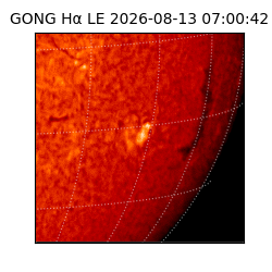gong - 2026-08-13T07:00:42