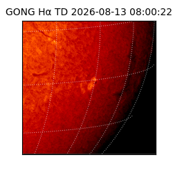 gong - 2026-08-13T08:00:22