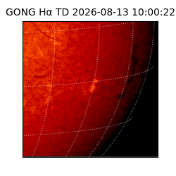 gong - 2026-08-13T10:00:22