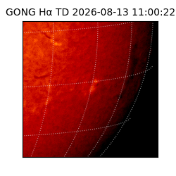 gong - 2026-08-13T11:00:22