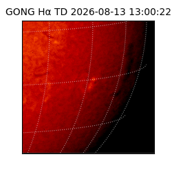 gong - 2026-08-13T13:00:22