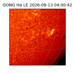 gong - 2026-08-13T04:00:42