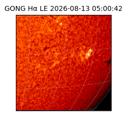 gong - 2026-08-13T05:00:42