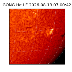 gong - 2026-08-13T07:00:42