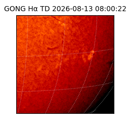 gong - 2026-08-13T08:00:22