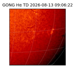 gong - 2026-08-13T09:06:22