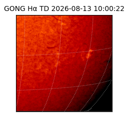 gong - 2026-08-13T10:00:22