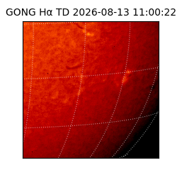 gong - 2026-08-13T11:00:22