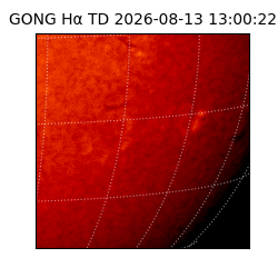 gong - 2026-08-13T13:00:22