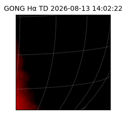 gong - 2026-08-13T14:02:22