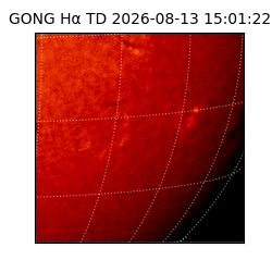 gong - 2026-08-13T15:01:22