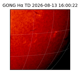 gong - 2026-08-13T16:00:22