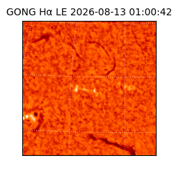 gong - 2026-08-13T01:00:42