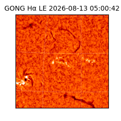 gong - 2026-08-13T05:00:42
