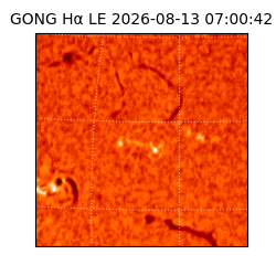gong - 2026-08-13T07:00:42