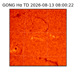 gong - 2026-08-13T08:00:22