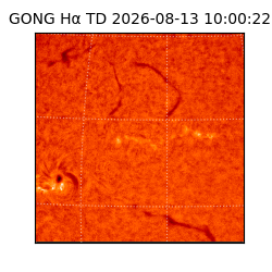 gong - 2026-08-13T10:00:22