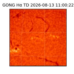 gong - 2026-08-13T11:00:22