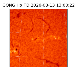 gong - 2026-08-13T13:00:22