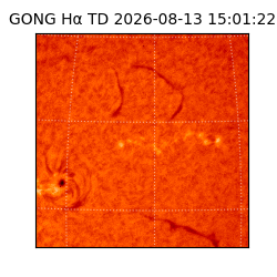 gong - 2026-08-13T15:01:22