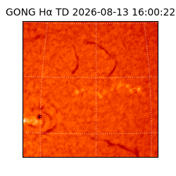 gong - 2026-08-13T16:00:22
