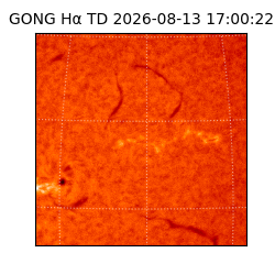 gong - 2026-08-13T17:00:22