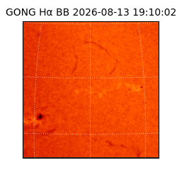 gong - 2026-08-13T19:10:02