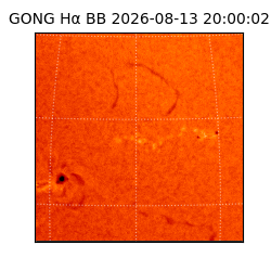 gong - 2026-08-13T20:00:02