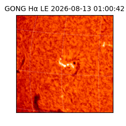 gong - 2026-08-13T01:00:42