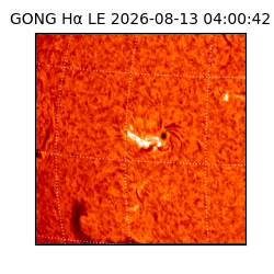gong - 2026-08-13T04:00:42
