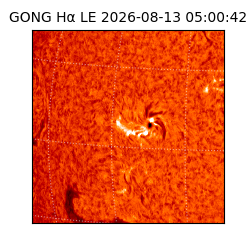 gong - 2026-08-13T05:00:42