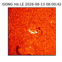 gong - 2026-08-13T06:00:42