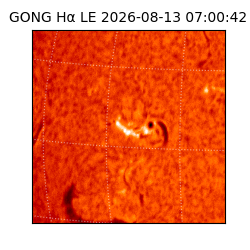 gong - 2026-08-13T07:00:42