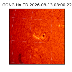 gong - 2026-08-13T08:00:22