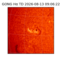 gong - 2026-08-13T09:06:22