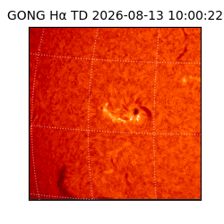 gong - 2026-08-13T10:00:22
