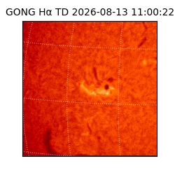 gong - 2026-08-13T11:00:22